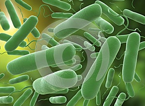 3D illustration of E coli Bacteria. vibrios type category photo