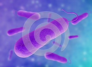 3D illustration of E coli Bacteria. vibrios type category.