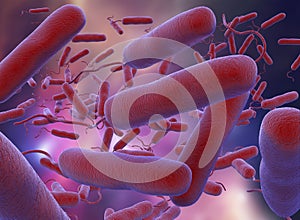 3D illustration of E coli Bacteria. vibrios type category photo