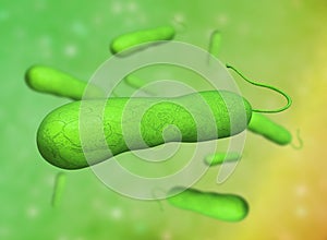 3D illustration of E coli Bacteria. vibrios type category photo