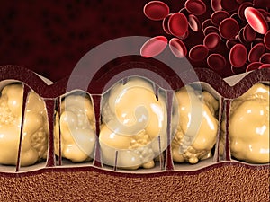 3d Illustration of Fat Cells with blood cells on red background