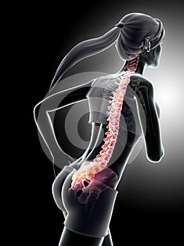 3d illustration - Female run and X-ray Spine position.