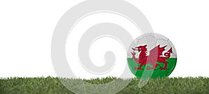 3D illustration gales flag on soccer ball on grass, copy space with white background photo