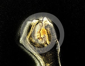 3D-Illustration of a glowing human female hand with a yellow kirlian aura showing different symbols photo