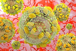 Hepatitis C virus HCV 3D illustration photo