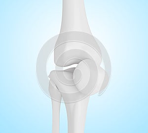 3d illustration of human knee bones