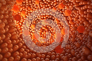 Tridimensional ilustraciones vellosidades.intestino recubrimiento.microscópico capilares.hombre intestino.de saludable o 