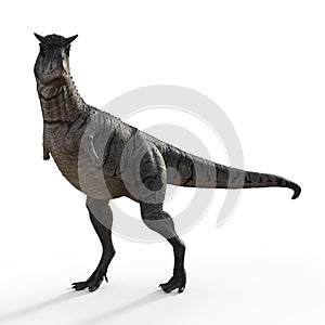 3d-illustration of an isolated dinosaur carnotaurus
