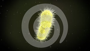 3d illustration of a Klebsiella Pneumoniae Bacteria photo