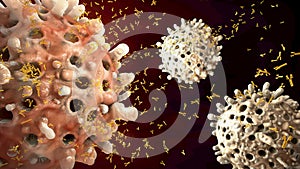 3d illustration of leukocyte secluding antibodies