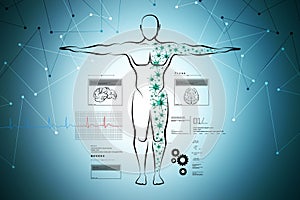 Molecular structure of human body