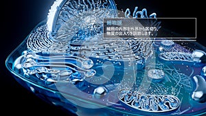 3D illustration of the plasma membrane surrounding a cell