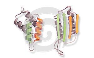 3D Illustration Rendering. Prions, Prion, Protein mutation before and after. Biotechnology concept of Mad Cow, Illness of medical