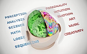 3D illustration representing two lobes of the human brain