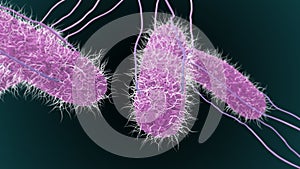 3D illustration of Salmonella Bacteria macro shot for medicine concept.