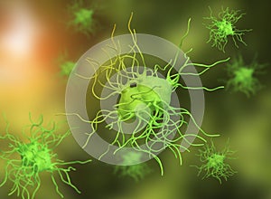 3D illustration of salmonella typhi Bacteria. flagellate rods photo