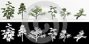 3d illustration of set Zanthoxylum piperitum bonsai isolated on white and its mask photo