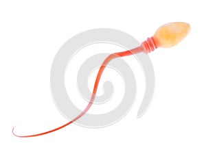 3d illustration of a sperm or male gamete photo
