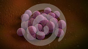 3D illustration of a Staphylococcus Aureus Bacteria