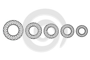 3d illustration of thrust needle bearings