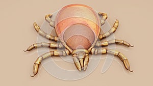 3D illustration of a tick parasite