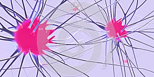 Transmitting synapse,neuron or nerve cell