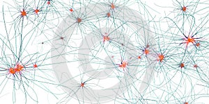 Transmitting synapse,neuron or nerve cell photo