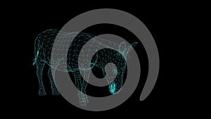 wire frame of Donkey  on black background