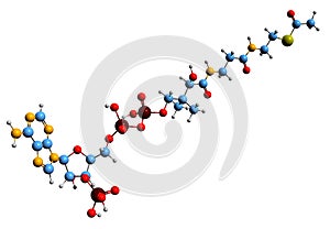 3D image of Acetyl-CoA skeletal formula photo