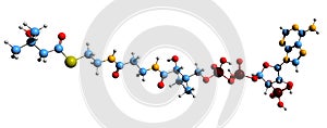 3D image of beta-Hydroxy beta-methylbutyryl-CoA skeletal formula photo
