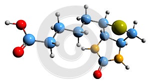 3D image of Biotin skeletal formula photo