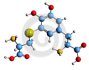 3D image of Cysteinyldopa skeletal formula photo