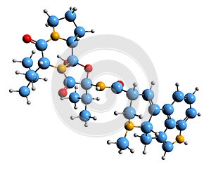 3D image of Ergocryptine skeletal formula photo