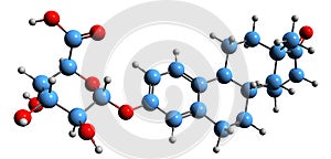 3D image of Estrone glucuronide skeletal formula