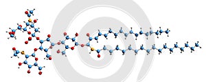 3D image of ganglioside skeletal formula photo