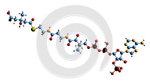 3D image of HMG-CoA skeletal formula photo