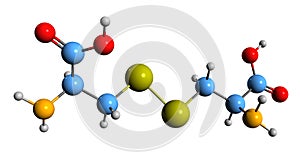 3D image of L-cystine skeletal formula