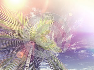 3D image of looking up a palm tree towards the sky