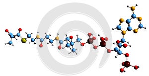 3D image of Methylmalonyl-CoA skeletal formula