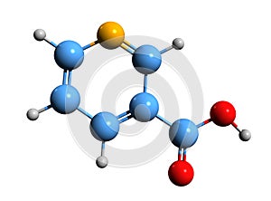 3D image of nicotinic acid skeletal formula photo