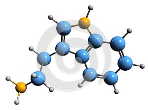 3D image of Tryptamine skeletal formula photo