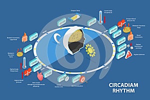 3D Isometric Flat Vector Conceptual Illustration of Circadiam Rhythm photo