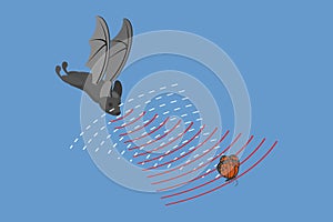 3D Isometric Flat Vector Conceptual Illustration of Echolocation