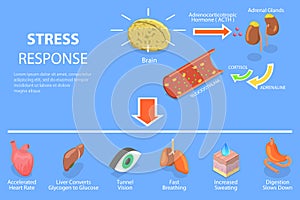 3D Isometric Flat Vector Conceptual Illustration of Stress Response Process photo