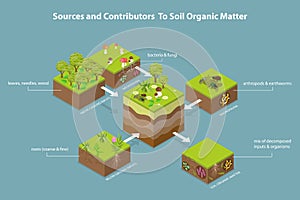 3D Isometric Flat Vector Illustration of Soil Composition