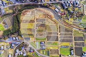 D JP Ohara rice fields top down