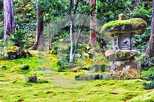 D JP Ohara sanzen garden lawn moss