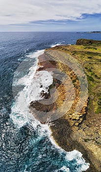 D Kiama Bombo Vert pan