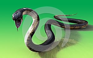 3d King cobra snake