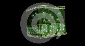 3D leaf cross section